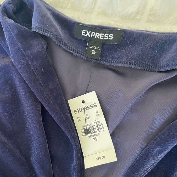 Express Velvet Velour Ruched Bodysuit - Picture 6 of 8